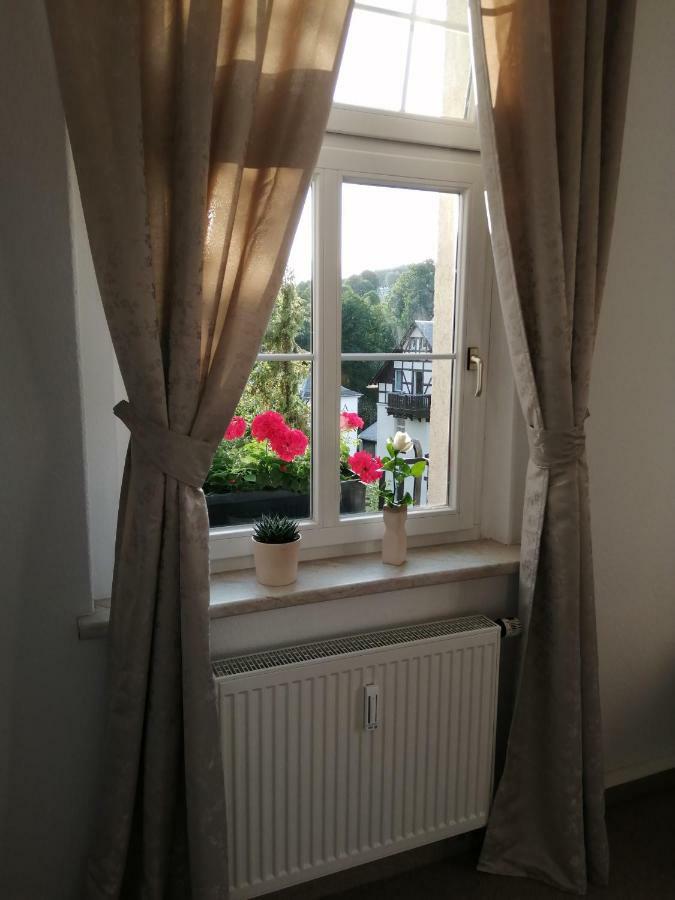 Pension Haus Zedtwitz Bad Elster Extérieur photo